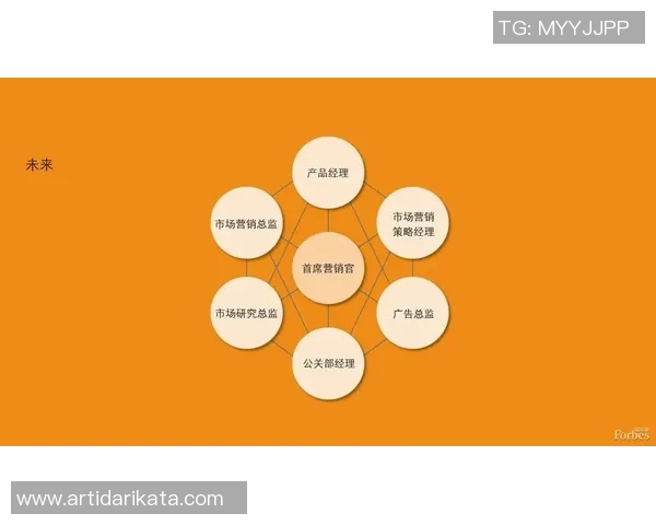 北京足球队运营分析:成败背后的深层原因与未来展望