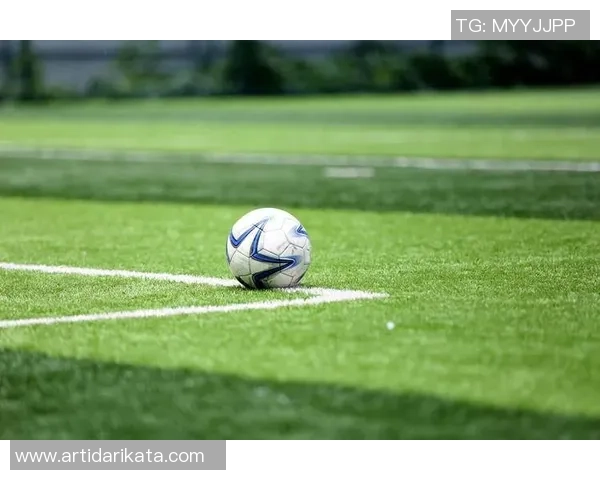 足球课片尾的感悟与成长：在绿茵场上追逐梦想的青春故事